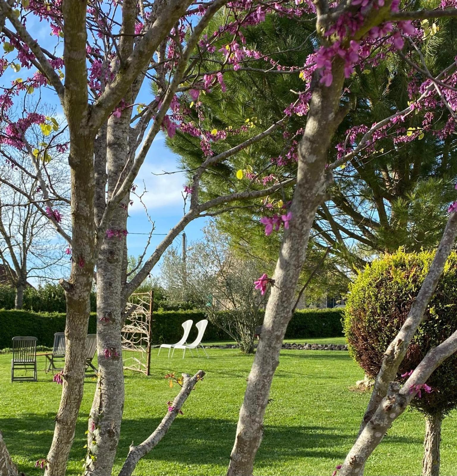 Gite Et Studios Les Barongeres Farges-les-Chalon ภายนอก รูปภาพ