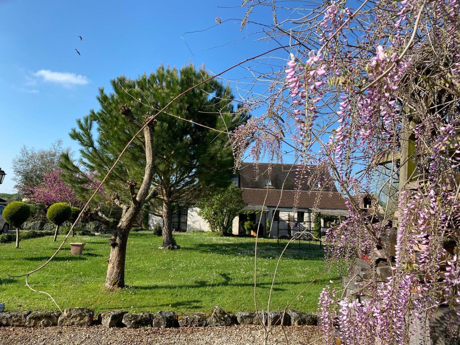 Gite Et Studios Les Barongeres Farges-les-Chalon ภายนอก รูปภาพ
