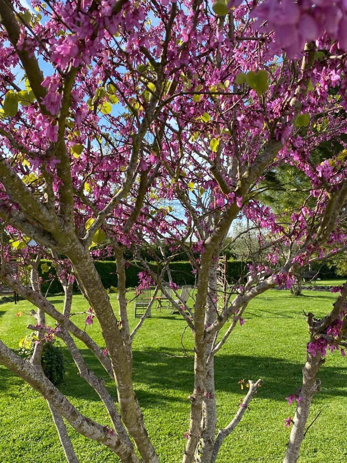 Gite Et Studios Les Barongeres Farges-les-Chalon ภายนอก รูปภาพ