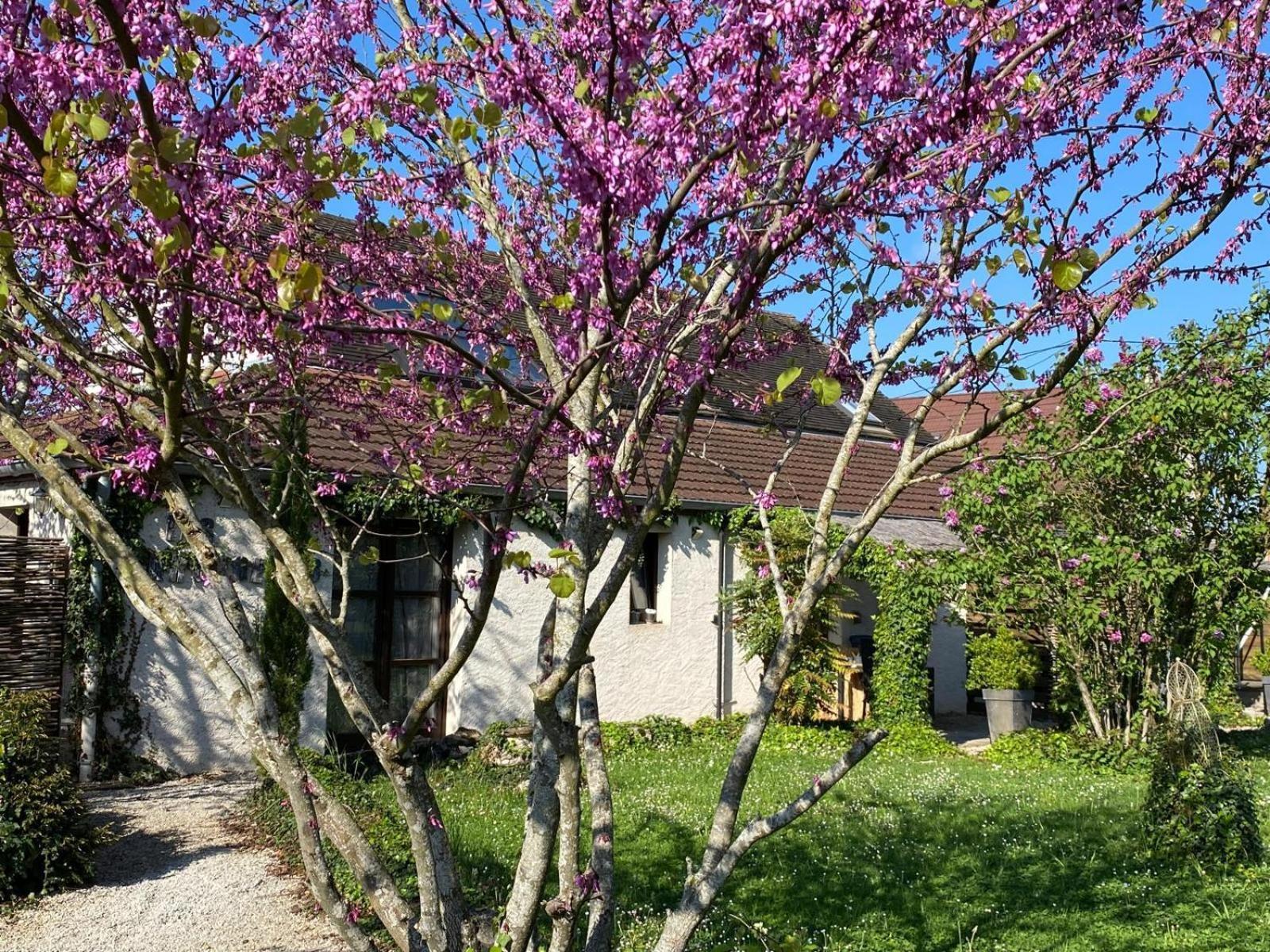 Gite Et Studios Les Barongeres Farges-les-Chalon ภายนอก รูปภาพ